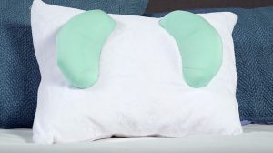 The Back to Beauty pillow