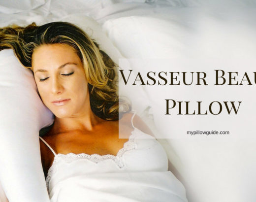 Vasseur Beauty Pillow